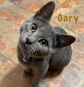 Photo of Gary