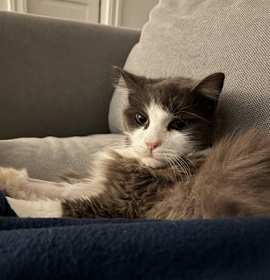 Photo of Grand Pabbie