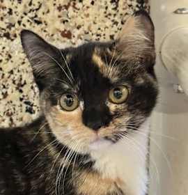 Photo of Wynona 59511