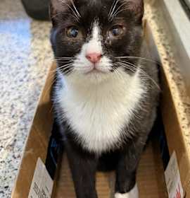 Photo of Rider 59439