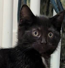 Photo of A2 Wednesday