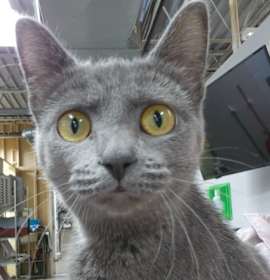 Photo of Margaret Scratcher