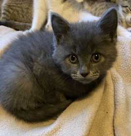 Photo of Tatiyana and Anastasia