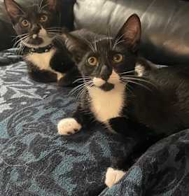 Photo of Jazzy & Jack