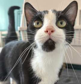 Photo of Catrick Swayze