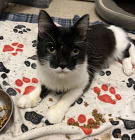 Photo of Thomas O’Malley