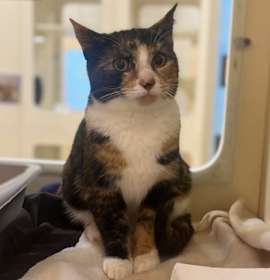 Photo of Noodle~s25/26-0311c