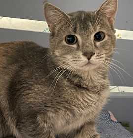 Photo of Bianca Blossom