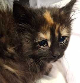 Photo of Spike Carter