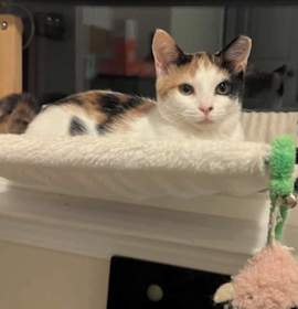 Photo of Weber Boland