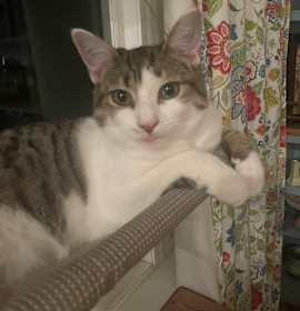 Photo of Ivy Spring-TL