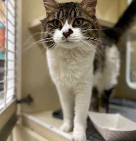 Photo of Hazel~s25/26-0349