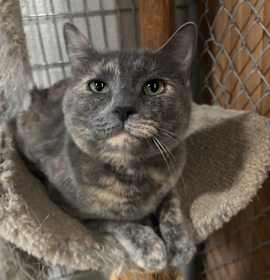 Photo of Storm 109C25