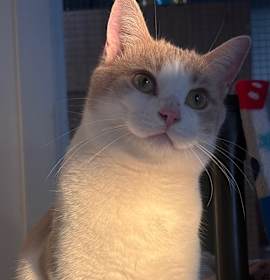 Photo of Sebastian 24C25