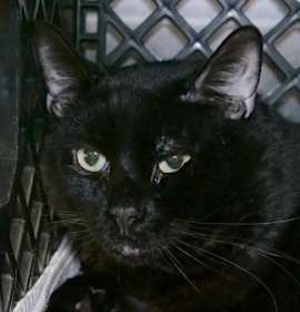 Photo of Nova Scotia