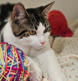 Photo of Angie - available 12/7