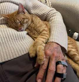 Photo of Audley Freed (SUPER FRIENDL