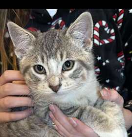 Photo of Autumn OBCR-1769