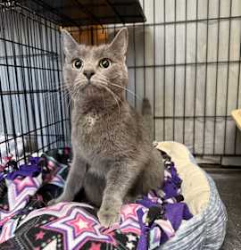 Photo of Holly Berry