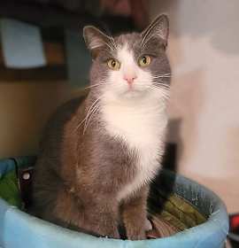 Photo of Nigel 2 years