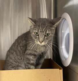Photo of Butter Dish