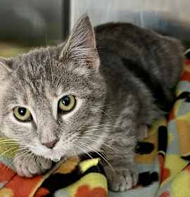 Photo of Material Girl