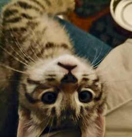 Photo of Bit O Honey