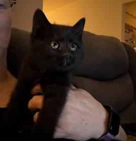 Photo of Buttons Willingham