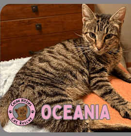 Photo of Oceania