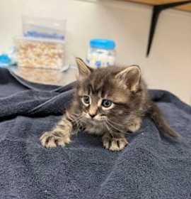 Photo of Alan Jackson