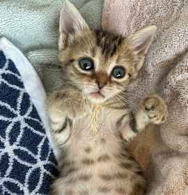 Photo of Drunk Uncle