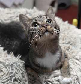 Photo of Prima Donna