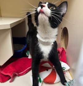 Photo of Mrs Cupcake