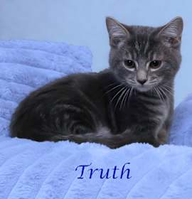 Photo of Truth C25-245