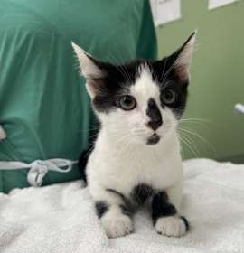 Photo of Baby Its Cold Outside