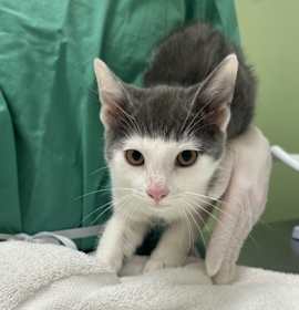 Photo of Fairytale Of New York