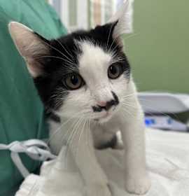 Photo of Jingle Bell Rock