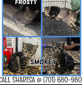 Photo of Frosty & Smokey - COURTESY