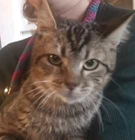 Photo of Rustic Rogue meet 12/20