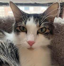 Photo of Luna Ardmore