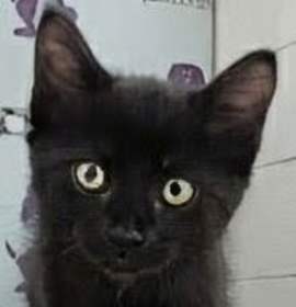 Photo of Nyx 8.22.25