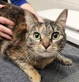 Photo of Marceline (Marcy)