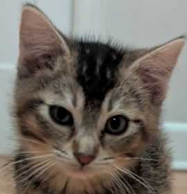 Photo of KW2 Great Sand Dunes