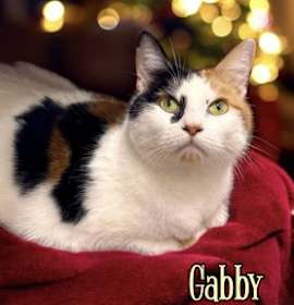 Photo of Gabby 126183