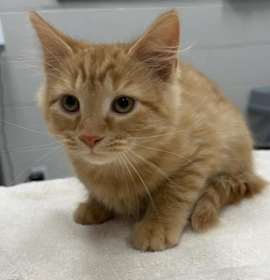 Photo of FELIZ NAVIDAD