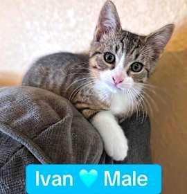 Photo of Ivan