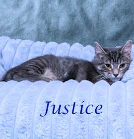 Photo of Justice C25-244