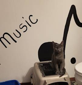 Photo of Ember (Music)