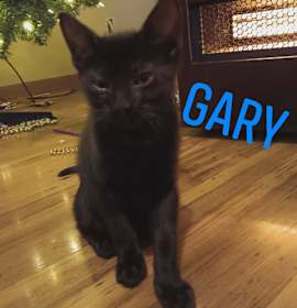 Photo of Gary