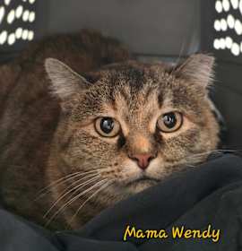 Photo of Mama Wendy